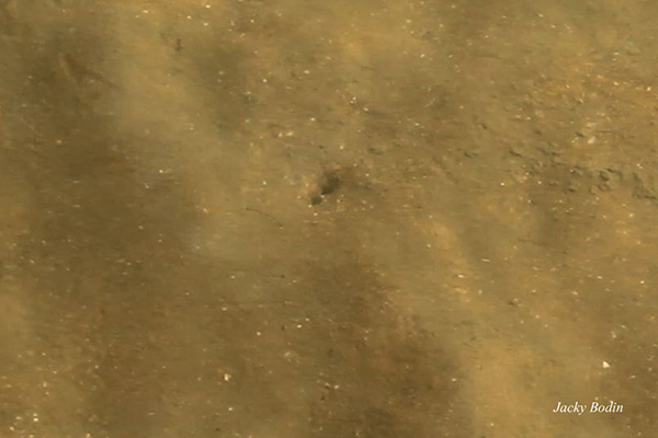 Trou de couteau, lors de la peche à pied